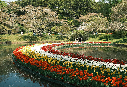 Flower parks