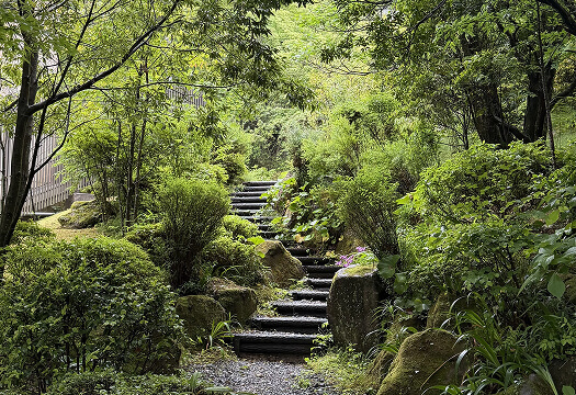 Hiking & nature walks