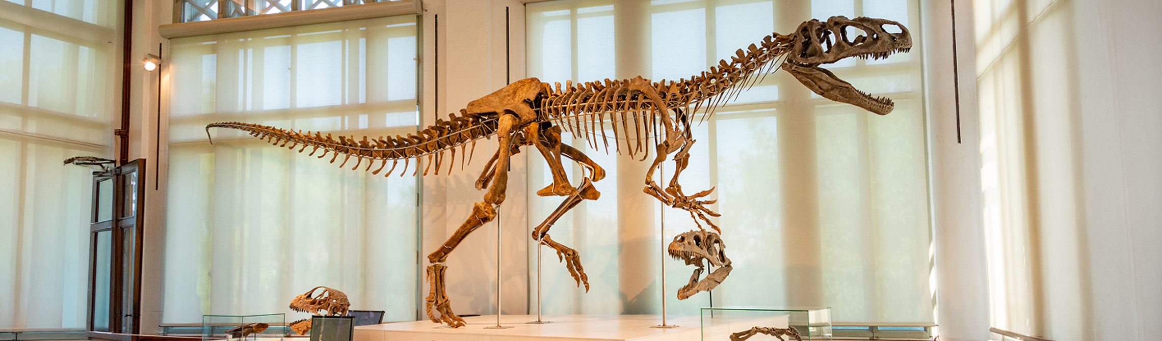 Museums in Japan