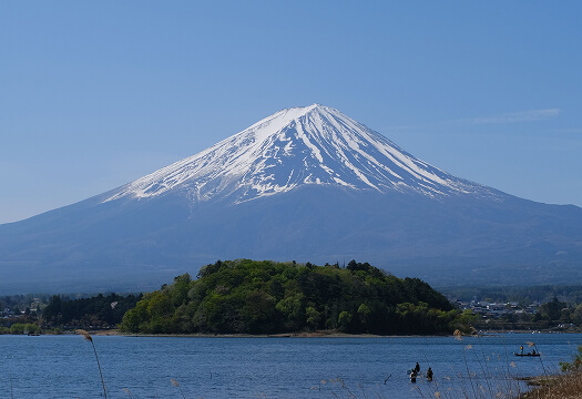 Mt Fuji Sightseeing