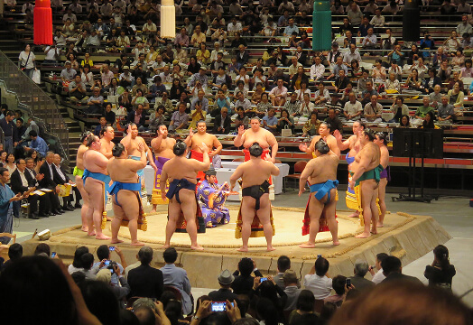 Sumo Practice Viewing