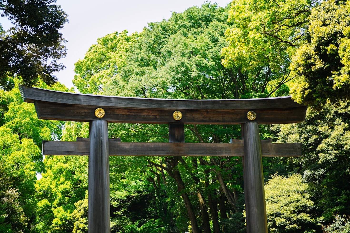 MICE Travel in Japan: Opportunities and Challenges