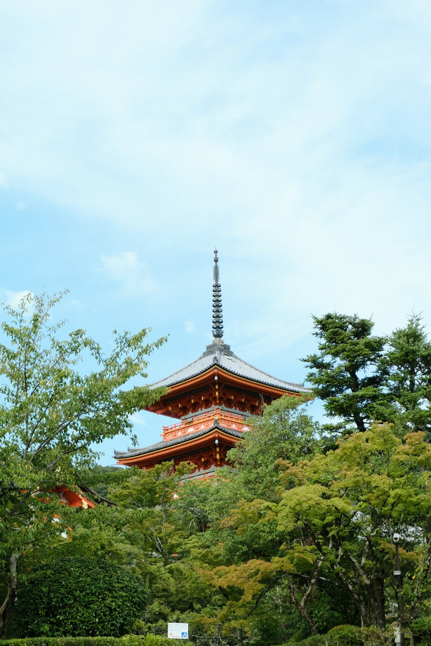 Why Trust Nozomi Japan DMC for Your Next Trip